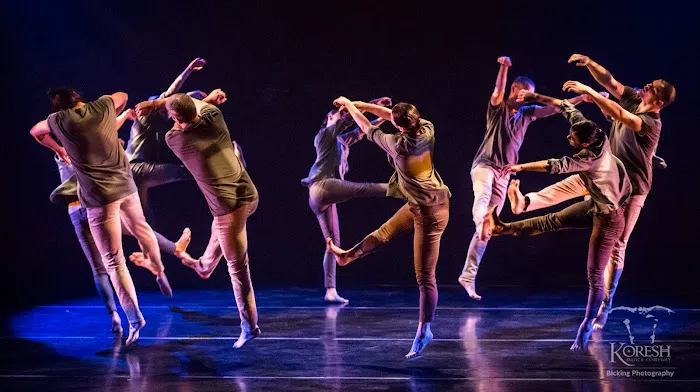 Koresh Dance Company Picture 3