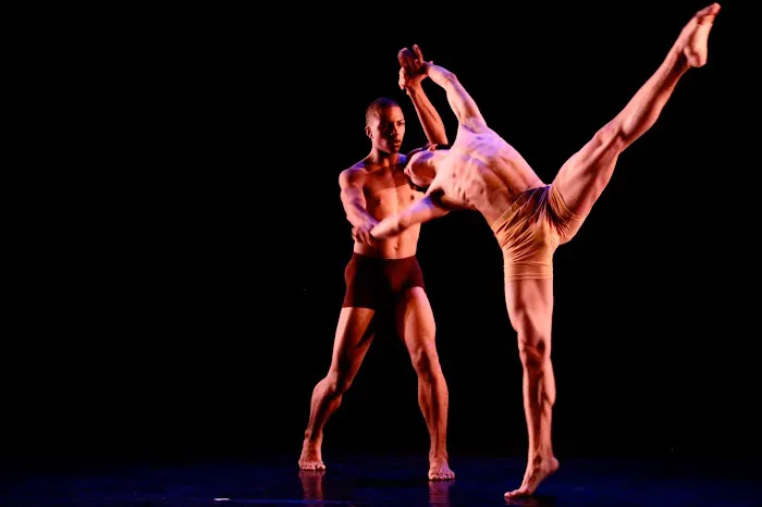 Kun-Yang Lin/Dancers (KYLD) Picture 2