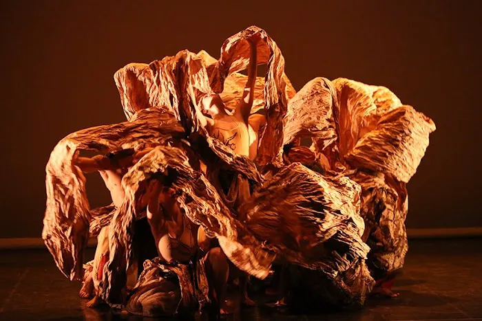 Kun-Yang Lin/Dancers (KYLD) Picture 5