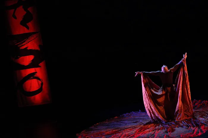 Kun-Yang Lin/Dancers (KYLD) Picture 10