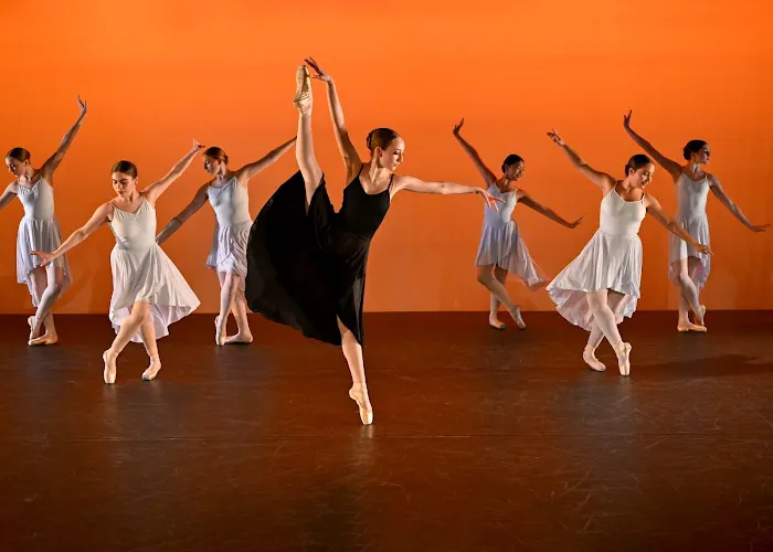 The Philadelphia Dance Academy Picture 1