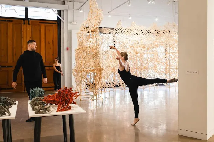 The Philadelphia Dance Academy Picture 7