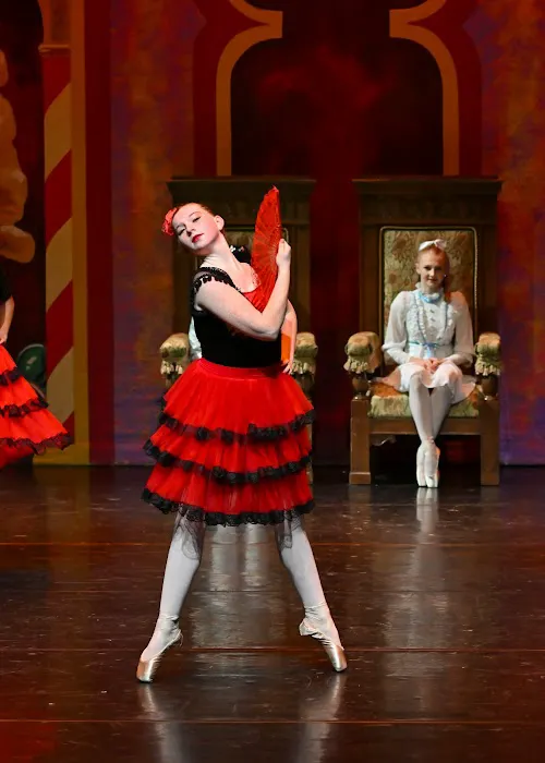 The Philadelphia Dance Academy Picture 3