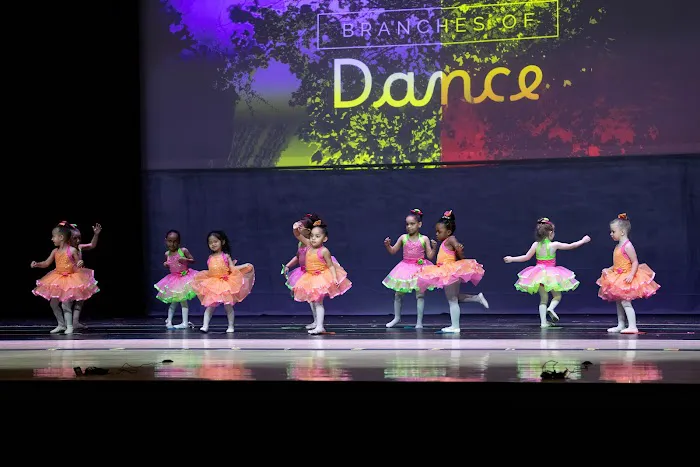 Branches of Dance Picture 4