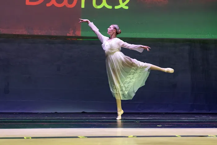 Branches of Dance Picture 6