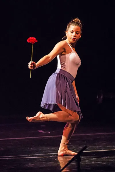 Institute of Dance Artistry Picture 2