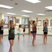 Institute of Dance Artistry ico