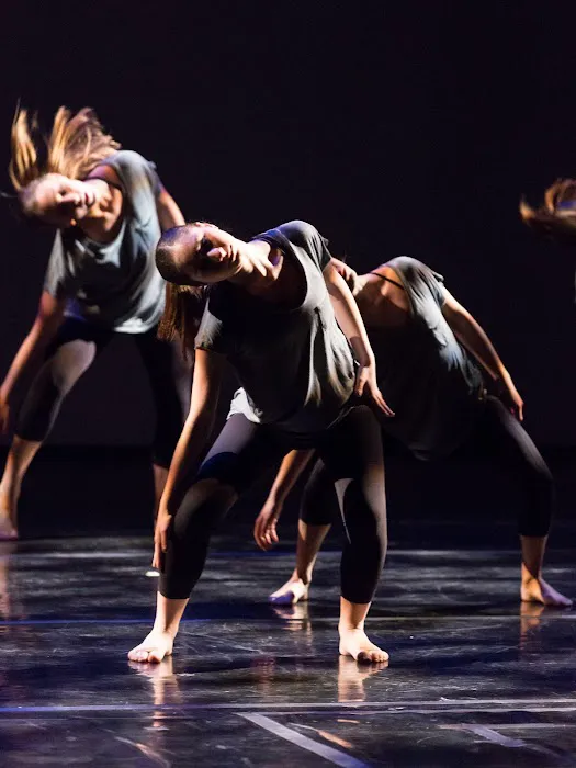 Institute of Dance Artistry Picture 9