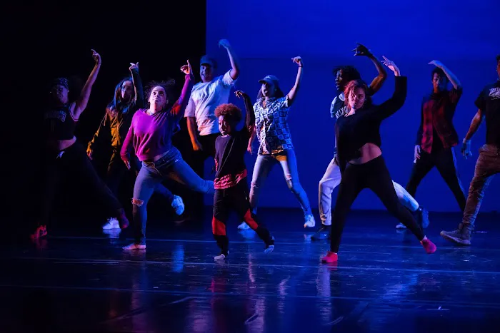 Institute of Dance Artistry Picture 5