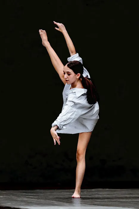 Institute of Dance Artistry Picture 2