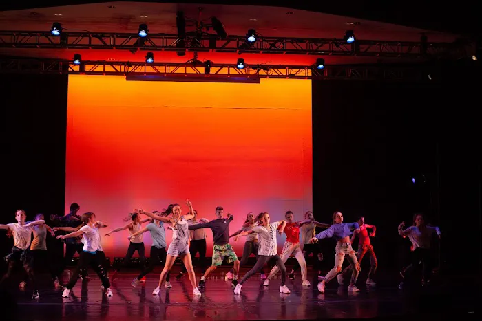 Institute of Dance Artistry Picture 6