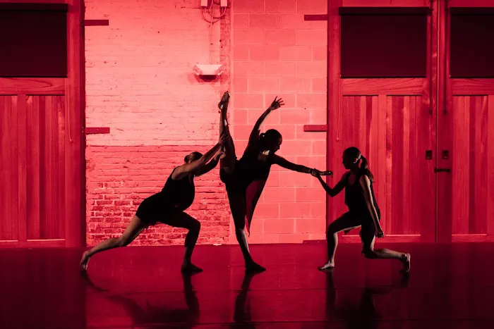 Institute of Dance Artistry Picture 3
