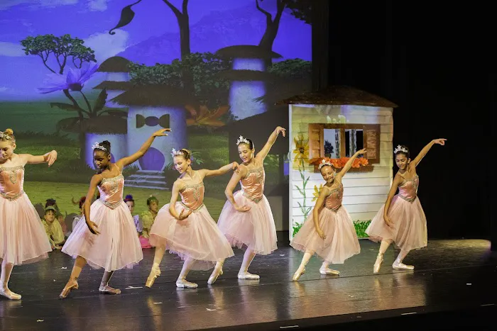 Philadelphia Dance Theatre Picture 8