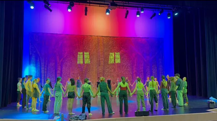 Philadelphia Dance Theatre Picture 5