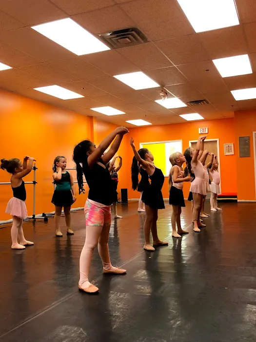Synergy Dance Center Picture 8
