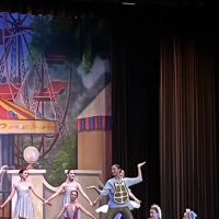 Delaware Valley Dance Academy ico