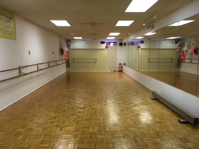 Workshops In Dance Picture 2