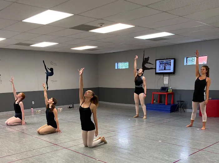 Virginia Dance Center Picture 8