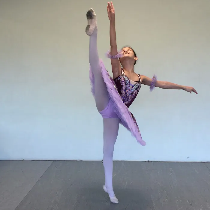 Academy of Russian Ballet Picture 5