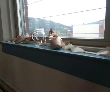 The Conservatory Of Extraordinary Dance