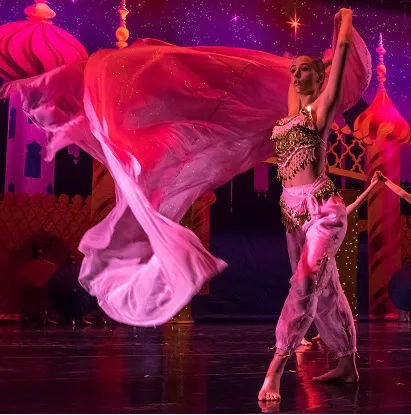 Virginia National Ballet Picture 4