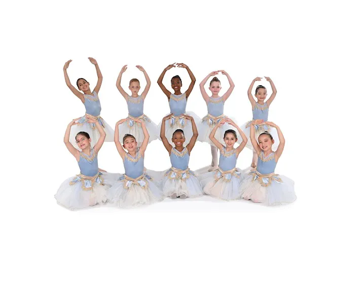 Virginia National Ballet Picture 3