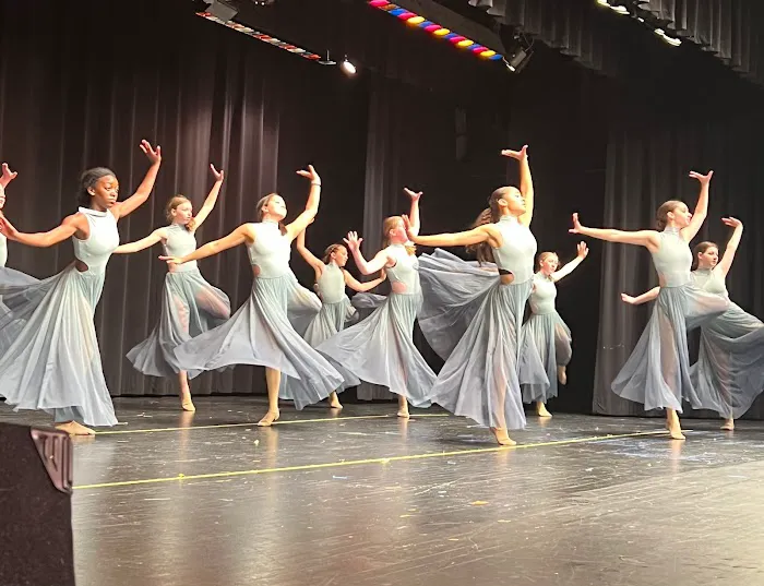 For A Dancer Inc Picture 1