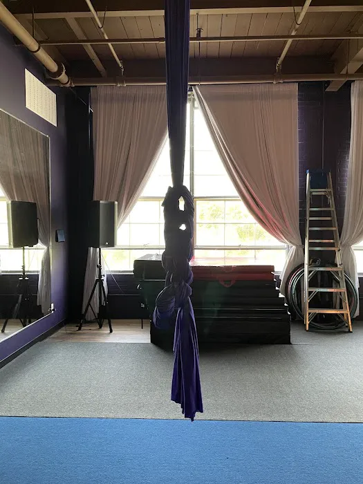 Awakenings Pole Dance Fitness Picture 3