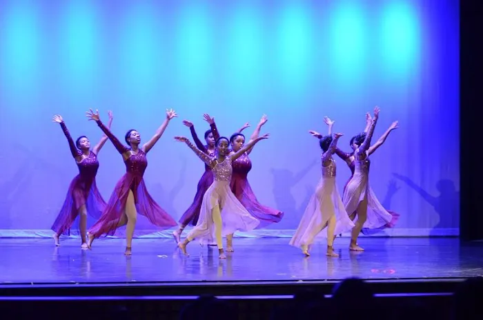 Dance Institute of Philadelphia LLC Picture 3