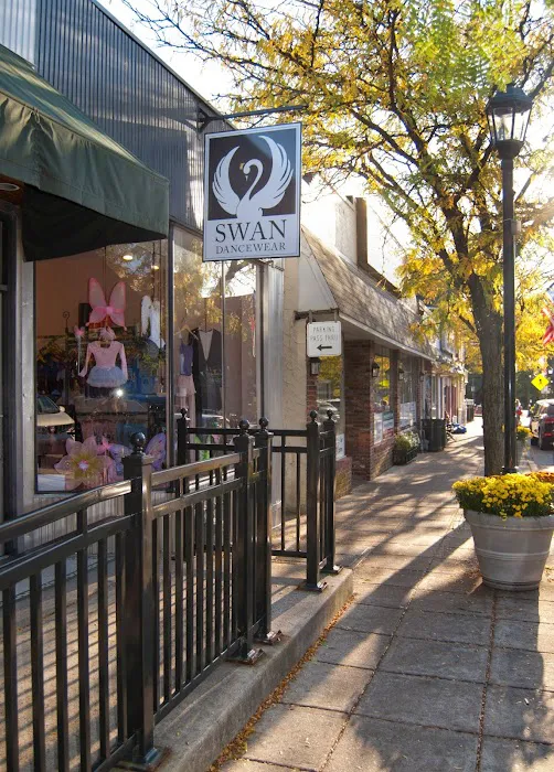 Swan Dancewear Picture 1