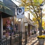 Swan Dancewear