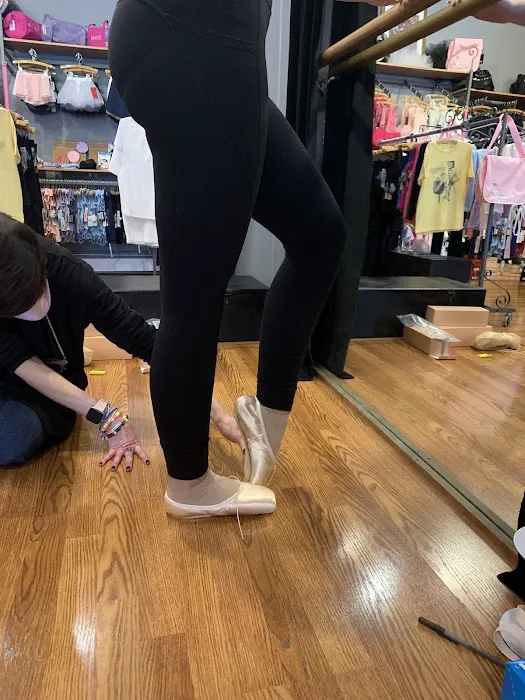 Swan Dancewear Picture 8