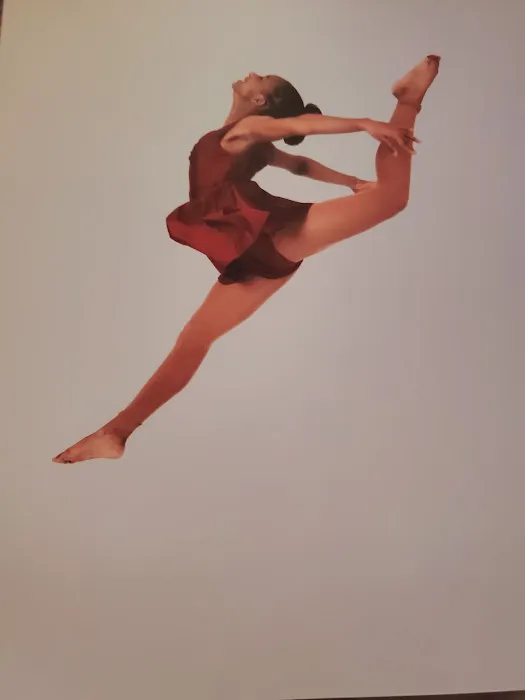 Living Arts Dance, Inc. Picture 7