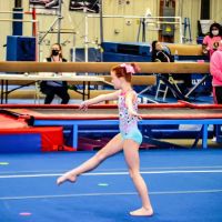 Power & Grace Gymnastics and Dance Inc. ico