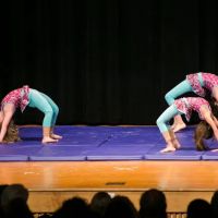 Libra Dance Studio ico