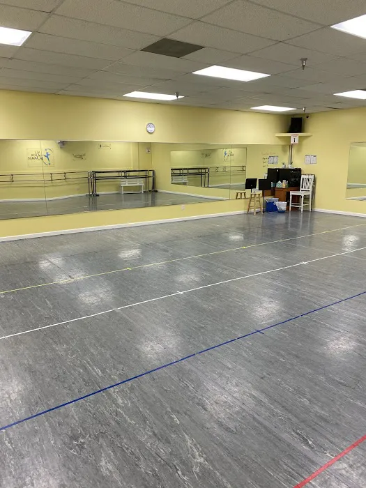 All for Dance Picture 1