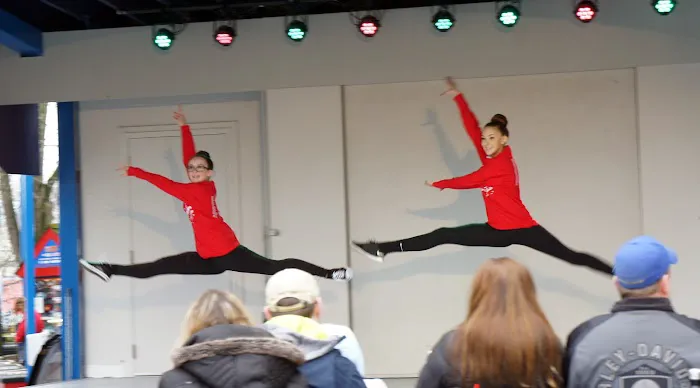 BC Discoveries Dance & Theater Arts Co Picture 3