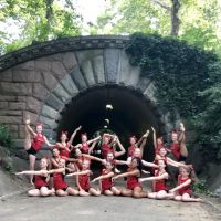 BC Discoveries Dance & Theater Arts Co ico