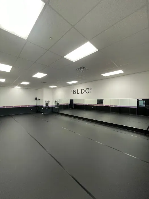 Body Language Dance Center Picture 2