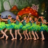 Vivian's Dance Studio ico
