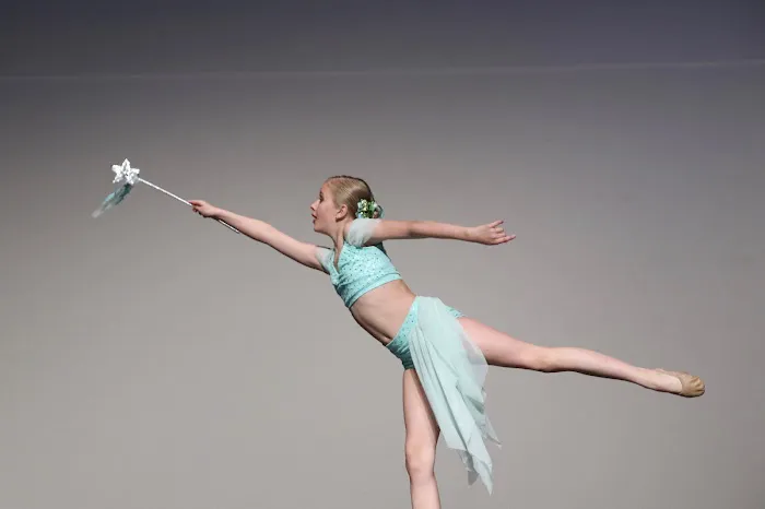 Artists In Motion Performing Arts Picture 7