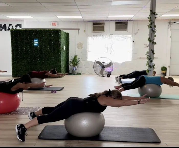 Empower Movement Studio, LLC Picture 10