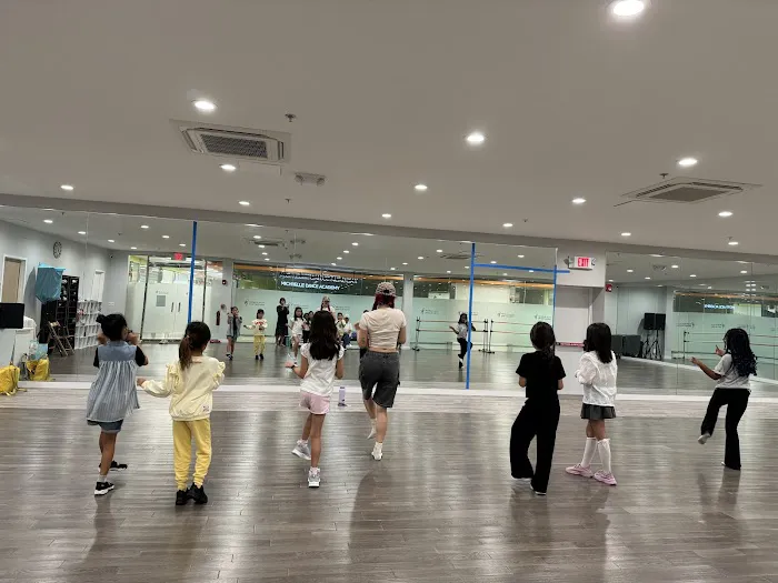 Michelle Dance Academy Picture 3