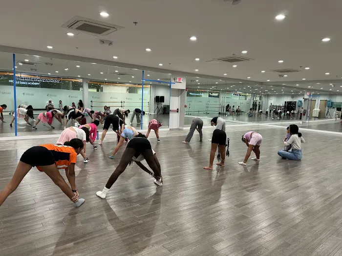 Michelle Dance Academy Picture 1