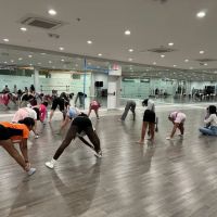 Michelle Dance Academy ico