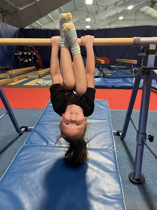 Head Over Heels Picture 1