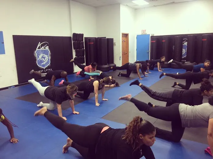Ozone Park Try Kickboxing & Zumba Now Picture 4
