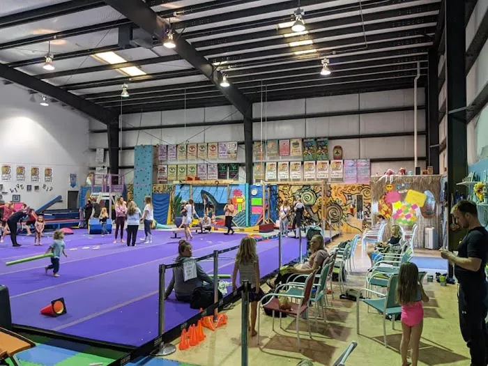 Riptide Gymnastics & Cheer Picture 8