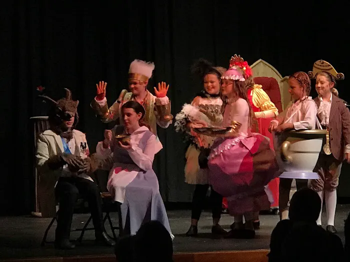 St. Pete Music, Acting, and Dance (MAD) Picture 8