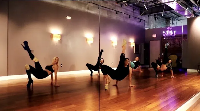 Intice Pole Dance Fitness Picture 6